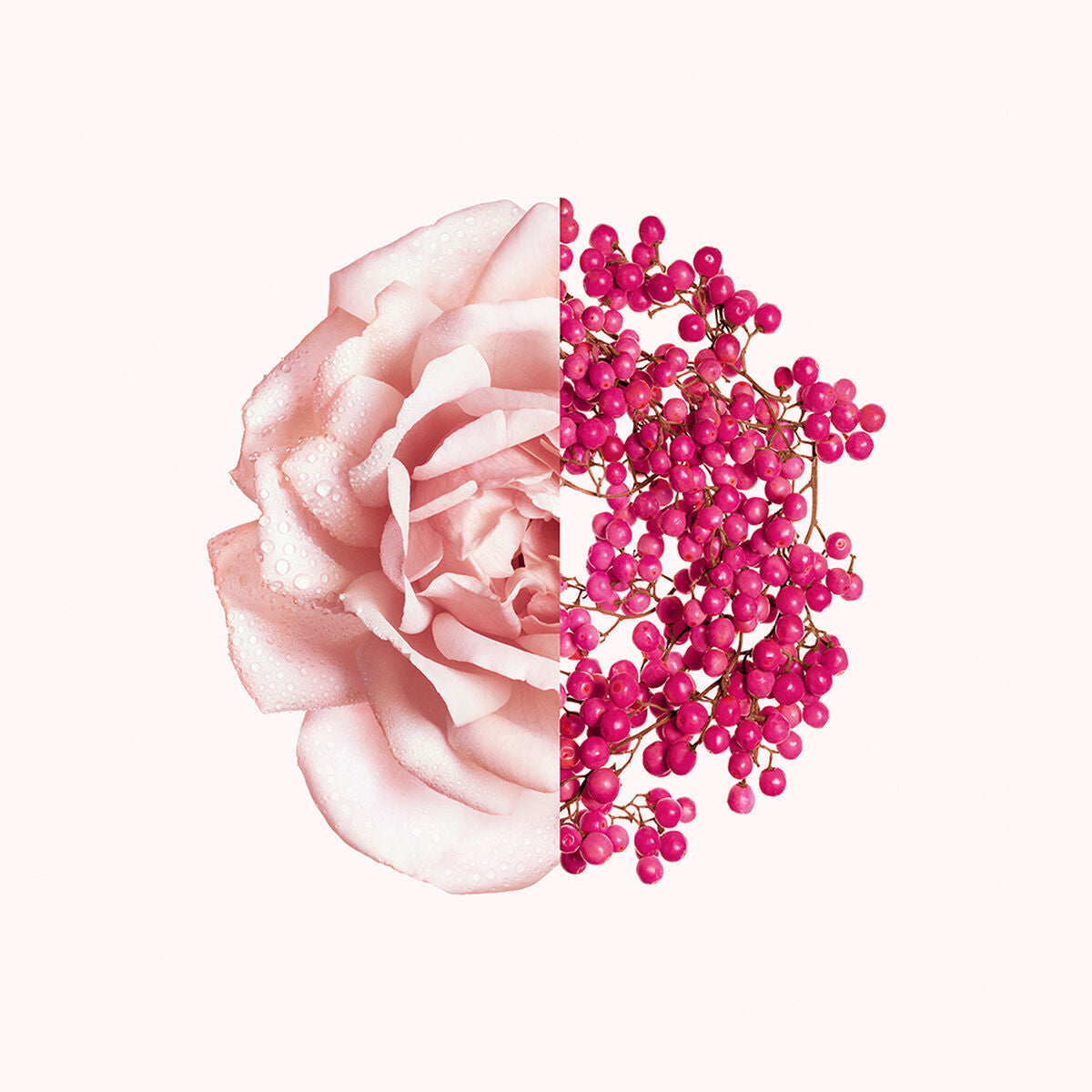 V4HAAC22B406C090608BE8CFC199168D959R6215014P3