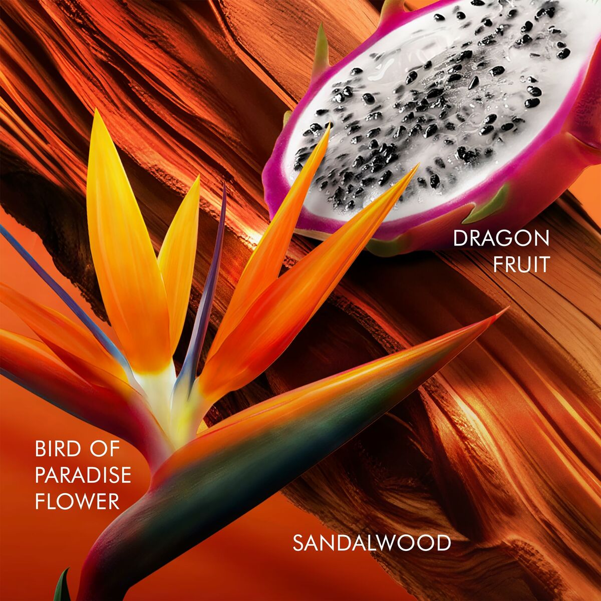 V4H800290CE8F00C6C469AE95992198A050R6240784P3