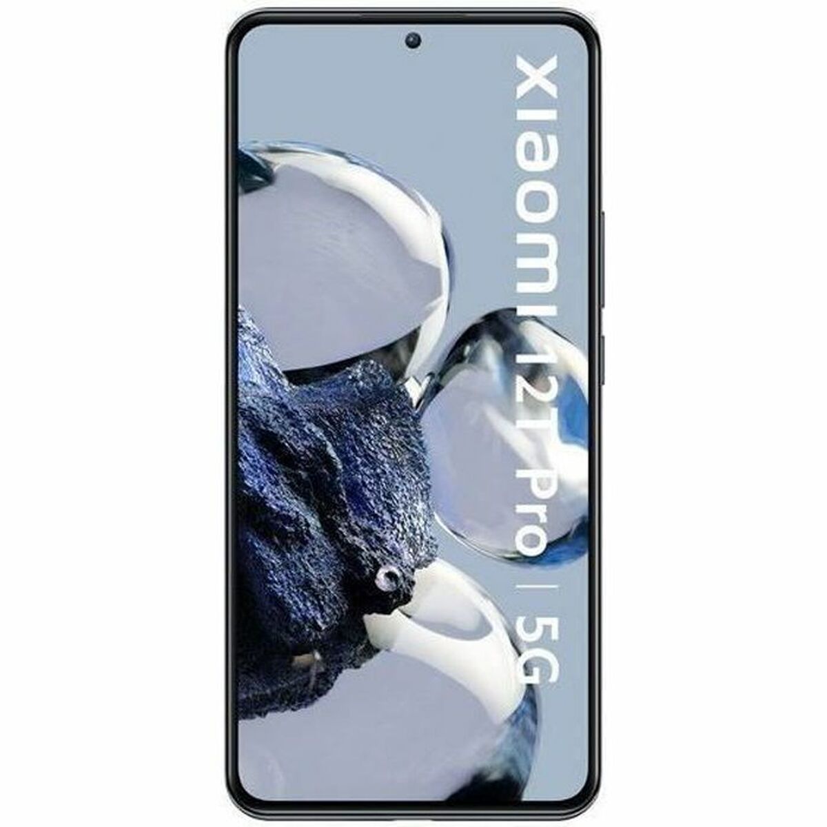 V5H9811169DC76772F579BFB93A54394D98R5362428P1