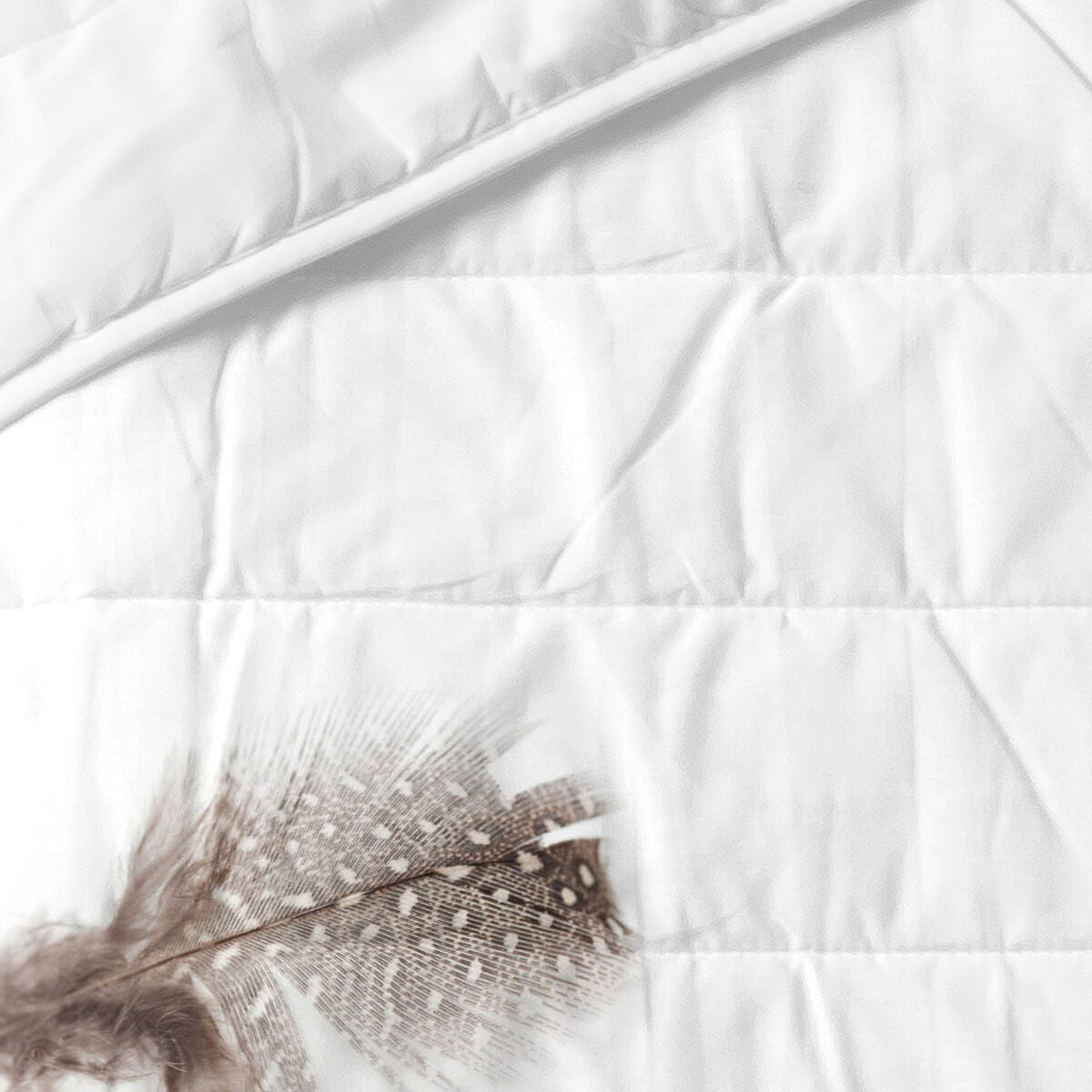 V6H6D65548AF2DCAC57EC4146E7151DF741R5207393P3