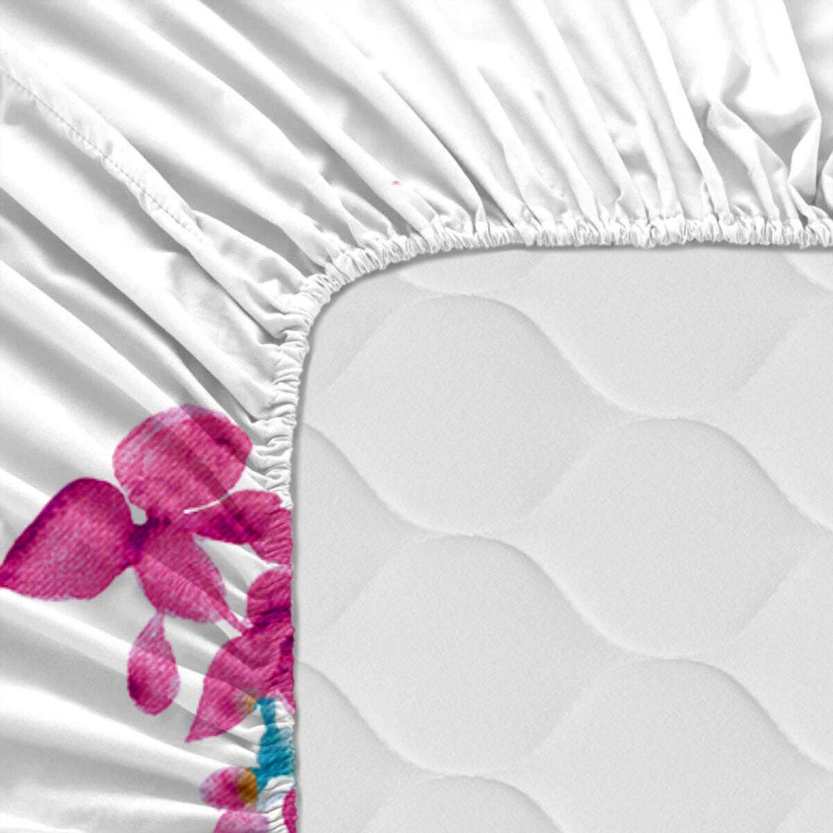 V6HEE8604FCC66C2B68C6E5E1536227AFE5R5210637P3