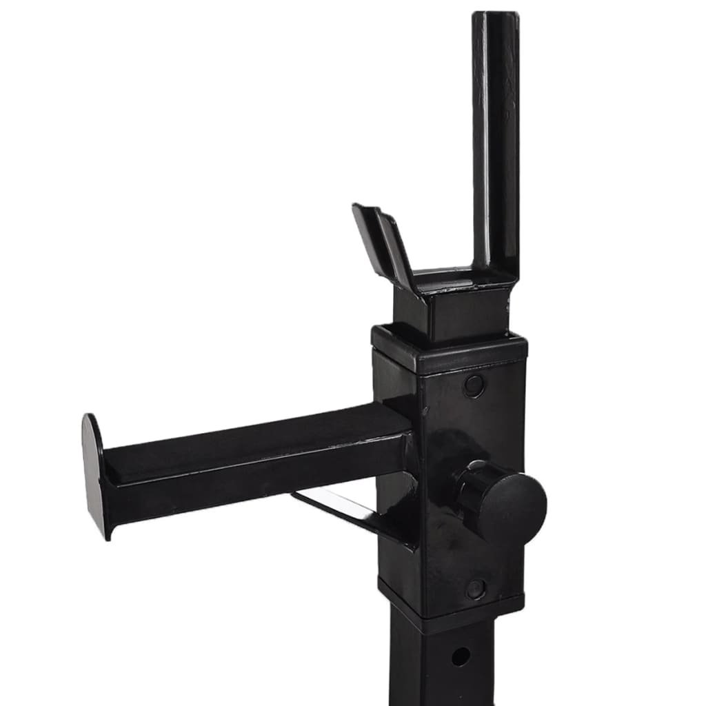 Štangos-Pritūpimų Stovas Su Štanga Ir Hantelių Rinkiniu, 60,5Kg